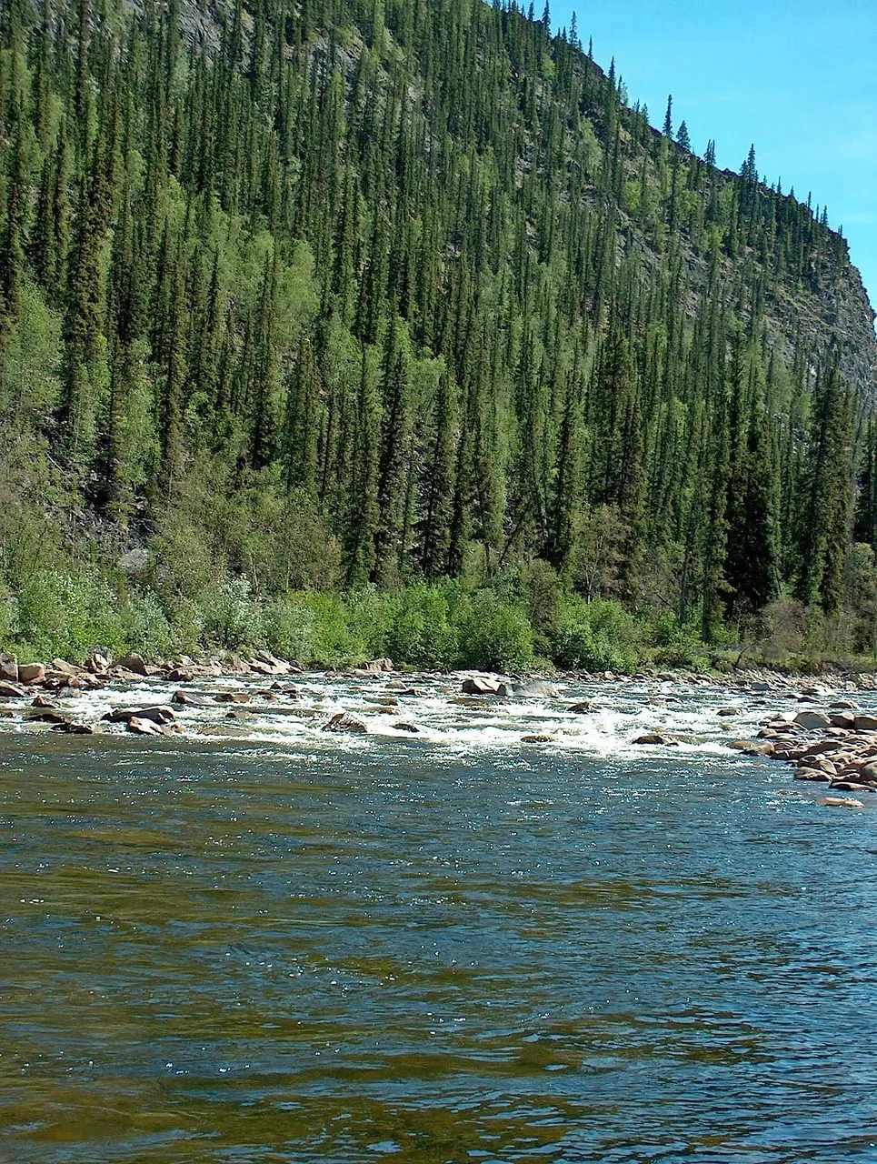 Sometimes we just float downstream