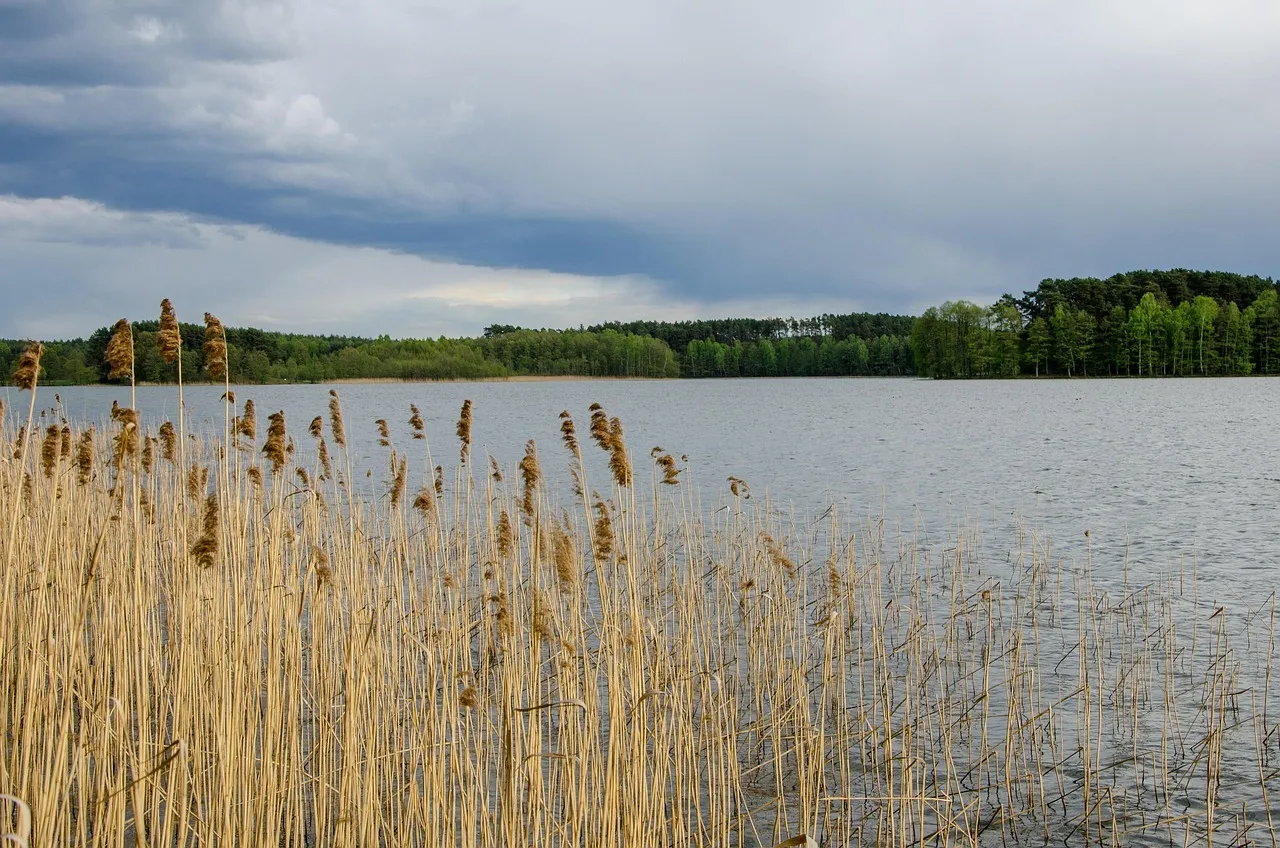 USE THIS ONE ONE HOMEPAGE, "UPCOMING TRIPS" Nizina Basecamp Trip: Solitude on the lake