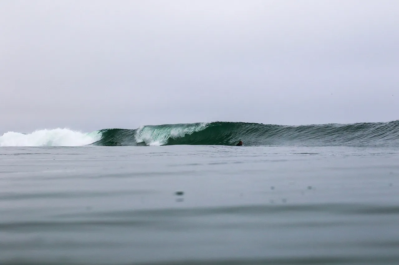 Rain or shine, we make the most of it!
