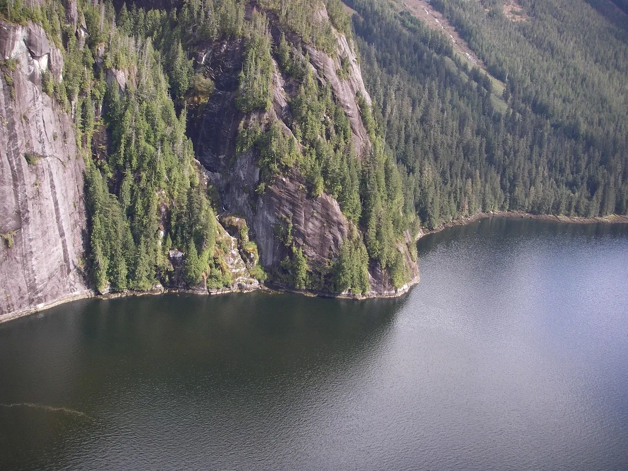 Glaciers change every day. Each time we visit the Root & Kennicott glaciers are different!